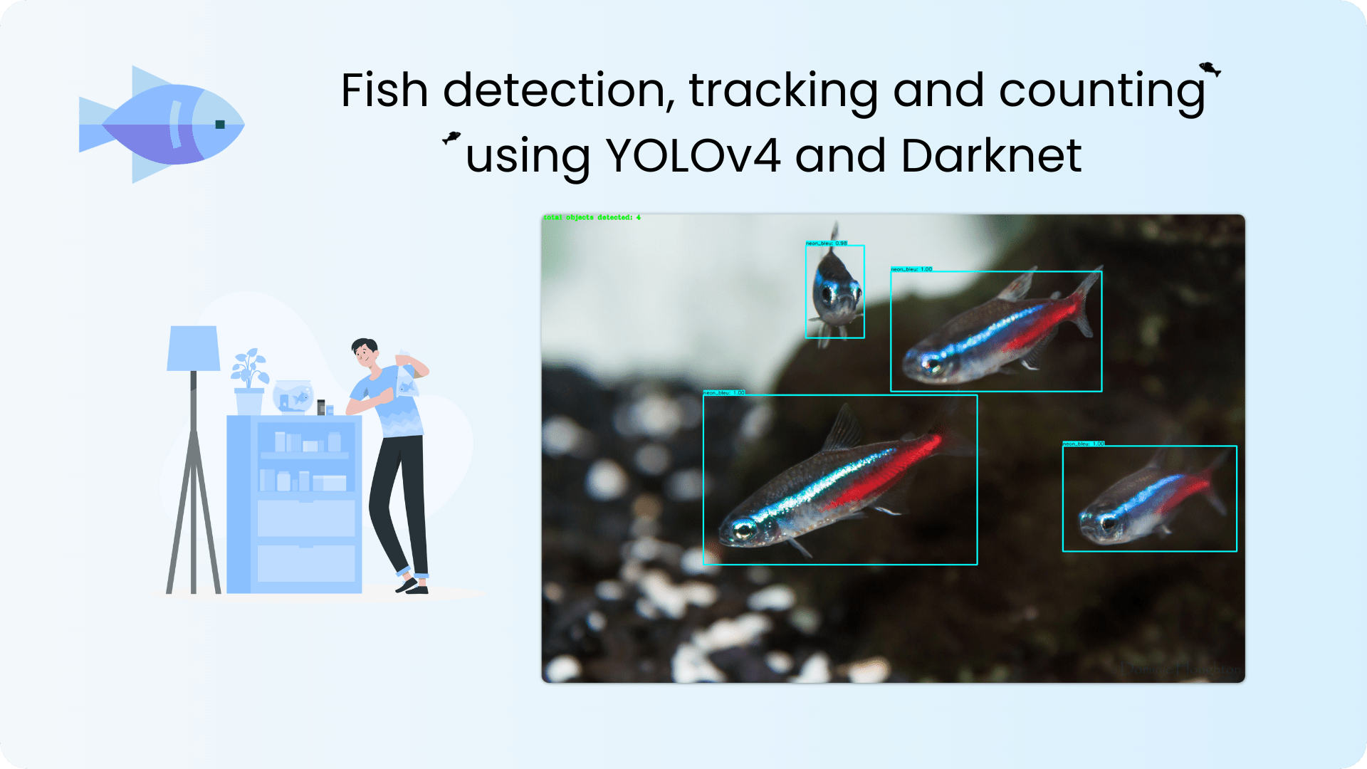 Fish Detector project's image